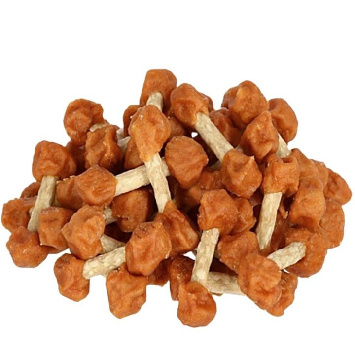 Krmivo Petitto Kurča 500 g Dospelý 500 gr