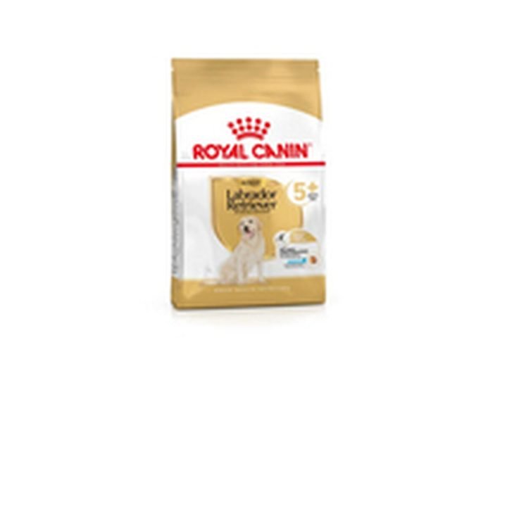 Krmivo Royal Canin 3182550908412 12 kg