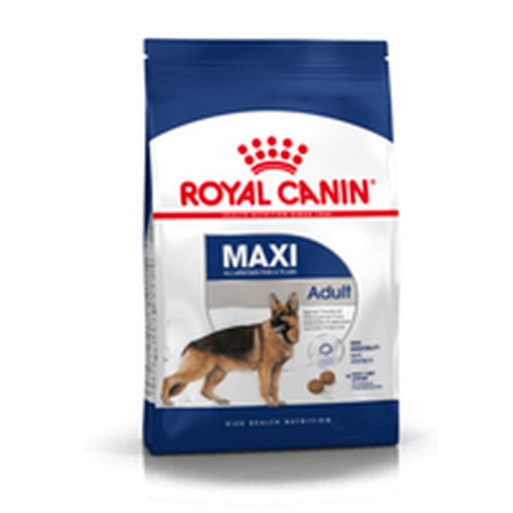 Krmivo Royal Canin Maxi Adult Dospelý Kurča Vtáky 15 kg